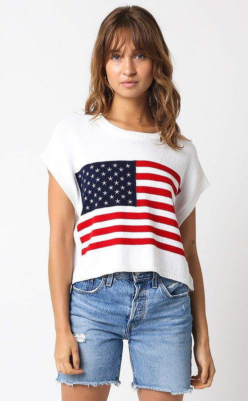 Americana Sweater Vest