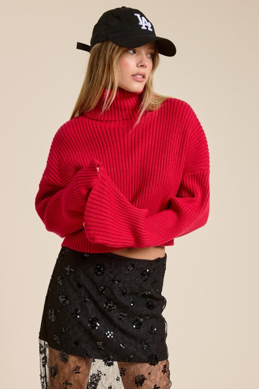 Holly Ribbed Turtleneck Sweater