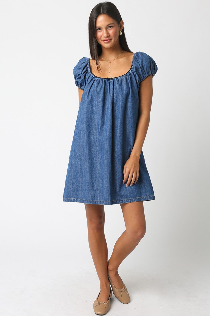 Sasha Denim Babydoll Dress Small Sasha Denim Babydoll Dress Small