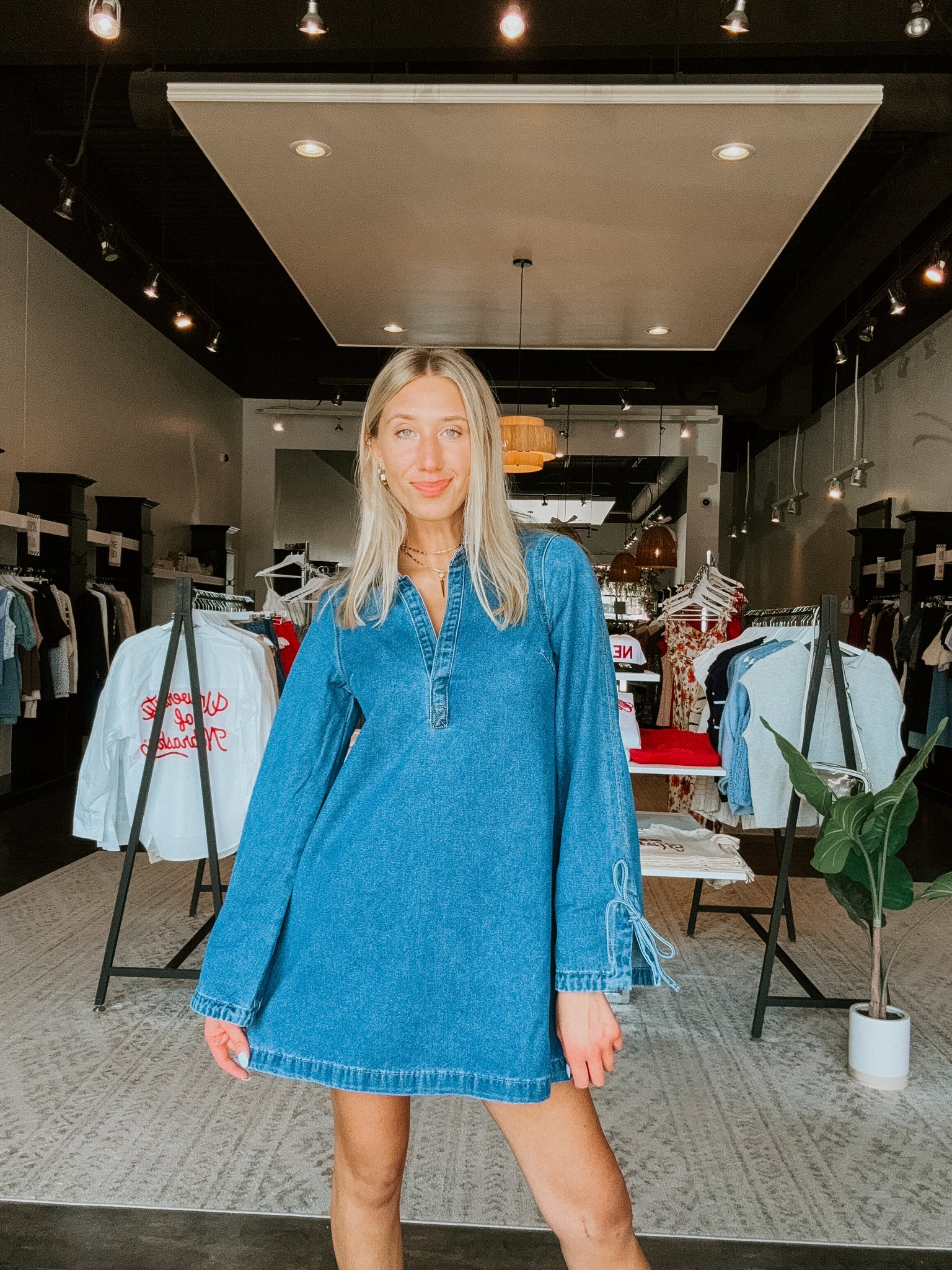 Darien Denim Mini Dress